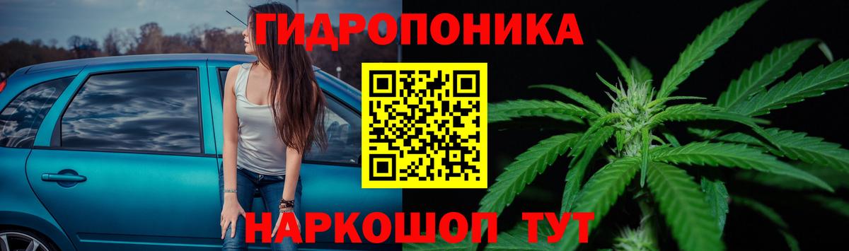 Шишки марихуана VHQ  Вход с VPN  Саранск  Бошки марихуана план  Канабис гибрид  Каннабис гибрид 